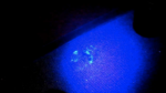 UV Semen Sperm Detection Portable Handheld Flashlight