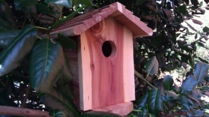 Outdoor DVR Hidden Nanny Camera Bird House With 30 Day Battery